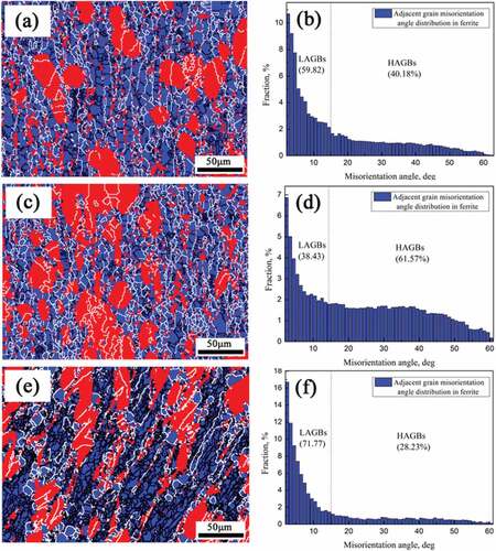 Figure 3. EBSD image and adjacent grain misorientation distribution of ferrite (Part I). (a)/(b) 0.01 s−1/1323 K, ε = 0.4; (c)/(d) 0.01 s−1/1323 K, ε = 0.8; (e)/(f) 30 s−1/1323 K, ε = 0.8.