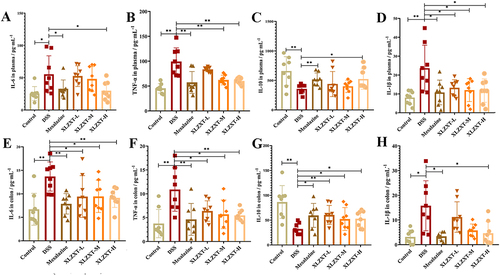 Figure 3 Concentrations of cytokines in plasma and colon. (A) Histogram statistical of IL-6 in plasma. (B) Histogram statistical of TNF-α in plasma. (C) Histogram statistical of IL-10 in plasma. (D) Histogram statistical of IL-1β in plasma. (E) Histogram statistical of IL-6 in colon. (F) Histogram statistical of TNF-α in colon. (G) Histogram statistical of IL-10 in colon. (H) Histogram statistical of IL-1β in colon. Data are expressed as mean±SD (n=8). *P<0.05, **P<0.01.