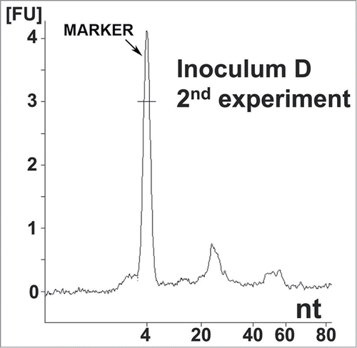 Figure 2. Nucleic acid analysis from the second reconstitution experiment. Electropherogram of inoculum D, showing the same distribution of small RNA populations as in inoculum 8. Approximate quantities of each peak are 0.5 ng for the marker, 0.18 ng for the first peak and 0.05 ng for the second peak. A 1 μl sample was loaded onto the chip, which is approximately equal to 8 ng equivalent PrPSc and approximately 0.16 mg brain equivalent.