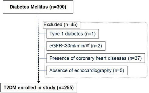 Figure 1 Study protocol. At baseline 300 participants with diabetes mellitus were recruited; 45 subjects were excluded and reasons for ineligibility are shown. A total of 255 subjects with T2DM were finally included in the analyses.