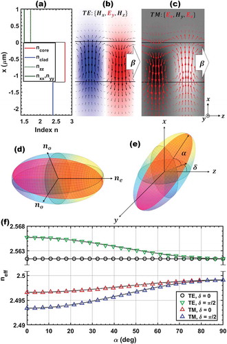 Figure 2. (Colour online) Tunable mode interaction with LC. (a) Index profile of lower cladding (nclad), core (ncore) and anisotropic upper cladding (nxx, nyy, nzz) given the parameters in Table 2. (b) TE modes propagating in the waveguide structure showing the E-field oscillation in the y direction (red and blue) and the curl of the H-field (black arrows). (c) TM modes propagating in the waveguide structure showing the Ex and Ey components of the field (red arrows) and oscillation of the H-field in the y direction (black and white regions). β indicates the propagation direction of the guided mode. (d) LC index ellipsoid with ordinary and extraordinary axes no and ne. (e) The index ellipsoid rotated about its centre by an azimuthal angle δ in the plane of the waveguide and polar angle α out of the plane. (f) Simulated effective waveguide index for TE and TM modes with LC|| (δ=0) and LC⊥ (δ=π/2) alignment as a function of the out-of-plane tilt angle α. Dotted black lines show a sin2 fit to the data, defined in Equation (7).