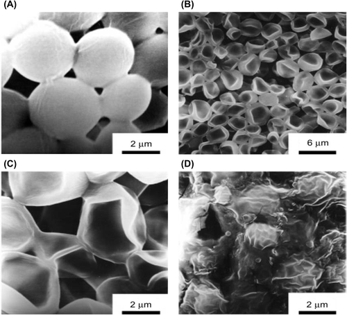 Figure 3. SEM images of the (Chitosan/DS)3 hollow capsules before (A) and after (B-D) enzymatic degradation at 37°C respectively for 5 min (B, C), and for 24 h (D). Panel C is a higher magnification of panel B. Reproduced with permission from reference (CitationItoh et al. 2006) Copyright American Chemical Society 2006.