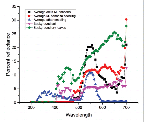 Figure 3. Spectral reflectance results. The adult Macaranga bancana and other seedlings shows similar pattern, whereas the seedlings Macaranga bancana are almost similar to the background.