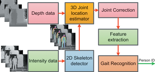 Figure 3. Pipeline for gait recognition using the joint correction criterion of GlidarPoly. EquationEquation (4)(4) Lji=2Npixels×tan(θaov2)×Lpji×Dcamerai(4) describes how depth data are combined with the output of a 2D skeleton detector (skeleton joints in the 2D image frame of reference) to create the 3D location of the joints in the real-world frame of reference.