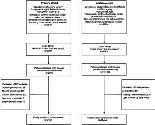 Figure 1 Flow diagram of stage I\II\III colon cancer patients enrolled from our institution and the SEER database.Abbreviations: LNR, lymph node ratio; SEER, surveillance, epidemiology, and end results.