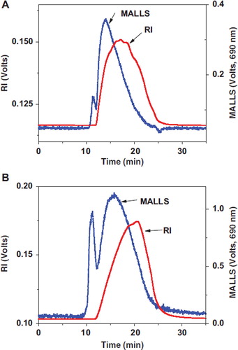 Figure 1. SEC-RI-MALLS detection of gelatin plasma substitutes. A: Succinylated gelatin; B: Genipin crosslinked gelatin.