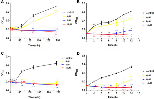 Figure 2 Time-killing kinetics of Melectin against E. coli and S. aureus. Bacterial suspension was incubated with different concentrations of Melectin in a 96-well plate at 37°C. Absorbance at 450 nm was determined using microplate assays. (A) and (B) show the absorbance of E. coli for 4 h and 12 h, respectively. (C) and (D) show the absorbance of S. aureus for 4 h and 12 h, respectively. The error bar represents means ± SEM, as determined by three independent experiments. *p<0.05, **p<0.01, ***p<0.001 (p values were determined by comparison with control).