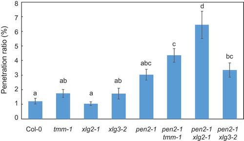 Figure 5. Quantitative analysis of penetration resistance to P. oryzae in Arabidopsis mutant plants.Mean frequency of P. oryzae penetration into Arabidopsis mutant plants at 72 hpi expressed as percentage of total number of infection sites. Values are presented as mean ± standard error, n = 3 independent experiments. Bars with the same lowercase letters are not statistically significantly different (p > 0.05).