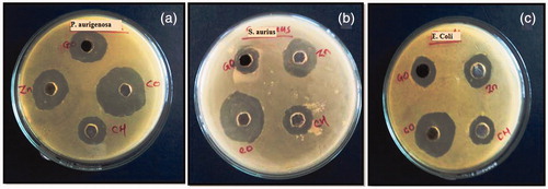 Figure 9. Antimicrobial activity of graphene oxide, chitosan, zinc acetate, and Ncs on (a) P. aeruginosa, (b) S. aureus, (c) E. coli.