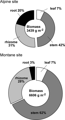 Figure 2. Comparison of biomass allocation patterns between montane and alpine sites