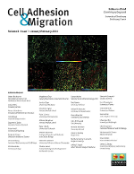 Cover image for Cell Adhesion & Migration, Volume 8, Issue 1, 2014