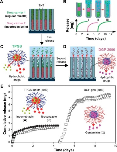 Figure 7 Scheme depicting the concept for controlling multiple drug release from TNTs.Notes: (A) TNTs loaded with two types of polymer micelles, a regular micelle (TPGS) encapsulated with hydrophobic and an inverted micelle (DGP 2000) encapsulated with hydrophilic drug; (B) scheme of sequential drug release with layered drug carriers with details of two-step drug release in (C) and (D); (E) sequential and multiple release of drug carriers loaded with three drugs from TNTs. Reproduced from Aw MS, Addai-Mensah J, Losic D. A multi-drug delivery system with sequential release using titania nanotube arrays. Chem Commun. 2012;48:3348–3350, with permission of The Royal Society of Chemistry, http://dx.doi.org/10.1039/C2CC17690D.Citation58Abbreviations: TNT, TiO2 nanotube; TPGS, d-α-tocopheryl polyethylene glycol 1000 succina; DGP, PEGylated phospholipids.