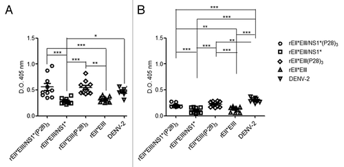 Figure 4. IgG1 and IgG2a antibody subclass levels in mice immunized with DENV E protein bound to Con A. Groups of ten BALB/c mice immunized (four times) with rEII*EIII/NS1* (○) (rEII*EIII/NS1*(P28)3 (□), rEII*EIII (Δ), rEII*EIII (P28)3 (⋄) and DENV-2 (∇). The DENV E protein from serotype 2 derived from DENV-infected C6/36 cells was immobilized with ConA. The above serum samples from the immunized groups were evaluated, and the level of the response was determined using HRP-conjugated anti-mouse IgG1 (A) and IgG2a (B) antibodies. Pre-immune serum samples were used as negative controls (data not show). Each dot represents an individual mouse. The error bars denote the standard error of a measurable titer. Two-way un-matched ANOVA with a Bonferroni post-test was used to determine the significance of the differences between groups, denoted by asterisks as follows: *p < 0.05, **p < 0.01, ***p < 0.001.