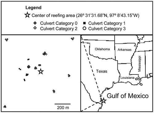 FIGURE 1. Location of the South Padre Island Artificial Reef (PS-1047), 11.3-km east of Port Mansfield, Texas, showing the 13 sampling locations for standard monitoring units for the recruitment of juvenile reef fish (SMURFs) and scuba surveys. Samples were collected from locations within four culvert-density categories (see Table 1).