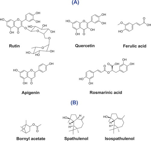 Figure 1. Major compounds found in A: methanolic extract; and B: the essential oil of Salvia syriaca.