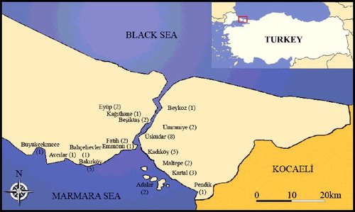 Figure 1. Map showing the study area (Istanbul) and districts. In these districts, the roadside (RS), urban (U), suburban (SU) and control (C) localities are as follows: Büyükçekmece (1 RS), Avcılar (1 U), Bahçelievler (1 U), Bakırköy (1 RS, 1 SU and 3 U), Eminönü (1 U), Fatih (1 RS and 1 U), Beşiktaş (1 U and 1 C), Kağıthane (1 SU), Eyüp (2 RS) on the European side and Pendik (1 SU), Kartal (2 RS, 1 SU), Maltepe (2 RS), Kadıköy (2 RS, 3 U), Üsküdar (3 RS, 1 U, 2 SU, 2 C), Beykoz (1 SU), Ümraniye (2 U), Adalar (2 C) on the Asian side.