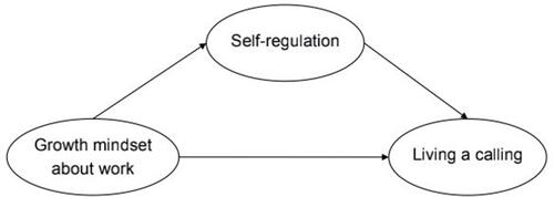 Figure 1 Proposed structural model.