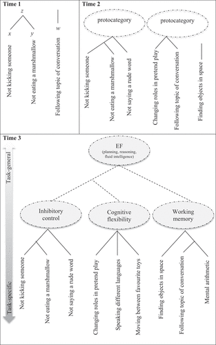 Figure 1. Time 1. “Not kicking someone” (x) is like “not eating a marshmallow” (y) in that they both require effortful resistance of some prepotent response (z), and both are more similar to one another than either are to “following a topic of conversation” (w) with the demands that places on working memory. The depth of the hierarchy is shallow at this stage because experience limits the generalizations that are possible over concrete events or tasks. Time 2. As experience accumulates, new experiences are clustered with similar old ones on the basis of functional analogy, and as the depth of the hierarchy increases, it supports more abstract generalizations. The hierarchical structure is subject to dynamic reorganization such that some of these emergent proto-categories are temporary generalizations on the way to more stable and entrenched representations of mature EFs. Time 3. An adult-like functional hierarchy of EFs, where individuals retain both task-general (abstract) and task-specific (concrete) EF information.