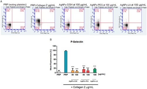 Figure 9 AgNPs-GSH. AgNPs-PEG, and AgNPs-LA attenuated collagen-stimulated increase in the abundance of P-selectin on the platelets.Notes: (A) Representative flow cytometry recordings showing effects of AgNPs-GSH, AgNPs-PEG, and AgNPs-LA (100 μg/mL) on P-Selectin. The corresponding bar graph shows an analysis of the effects of AgNPs on (B) P-Selectin. Data are expressed as mean ± standard deviation; n=4; ***P<0.001 vs collagen-stimulated platelets or as indicated.Abbreviations: AgNPs, silver nanoparticles; GSH, glutathione; PEG, polyethylene glycol; LA, lipoic acid.