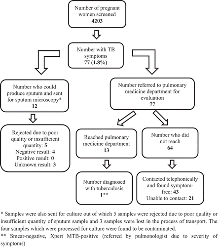 Figure 1. Process and results of tuberculosis (TB) screening among pregnant women attending a tertiary care hospital in Puducherry, South India, between February and April 2018.