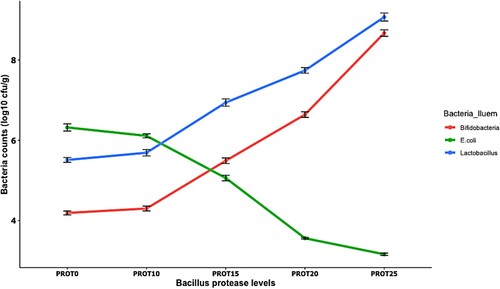 Figure 3. The effect of dietary Bacillus protease on Lactobacillus, Bifidobacteria and E. coli counts (log10 cfu/g) in the ileum section of the intestine. Two birds from each cell/replicate were used for the analysis.