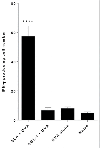 Figure 2. Comparison of CD8+ (T)cell responses induced by OVA entrapped in SLA and SGL-1 archaeosomes. C57BL/6 mice (n = 6/gp) were immunized with 20 µg OVA entrapped in SLA or SGL-1 archaeosomes on days 0 and 21. At 3 weeks post second immunization, representative mice (n = 2 per group) were killed, splenocytes isolated, stimulated with IL-2 (0.1 ng/mL) and OVA257–264 (10 μg/ml) and the frequency of IFN-gamma secreting cells in triplicate cultures enumerated by ELISPOT. Number of spots/106 spleen cells is indicated.