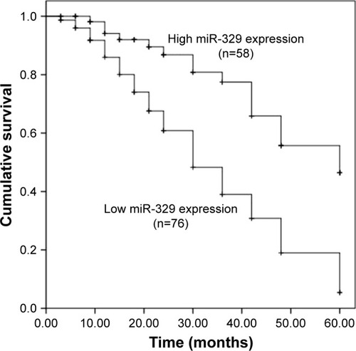 Figure 4 Kaplan–Meier survival analysis for breast cancer patients based on the difference in expression of miR-329.