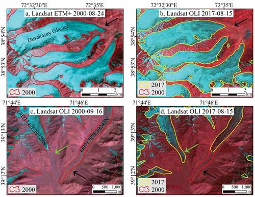 Figure 4. Examples of glacier outline delineation in 2000 and 2017: (a) and (b) glacier outlines in 2000 and 2017 for the same clear glaciers, respectively; (c) and (d) glacier outlines in 2000 and 2017 for a debris-covered glacier and a surging glacier, respectively.