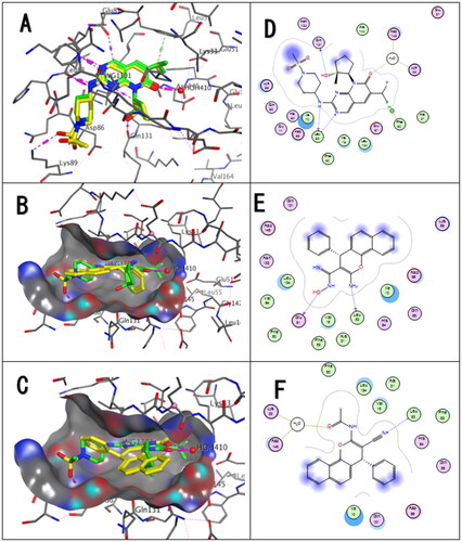 Figure 10. (A) Validation process for redocking WG1 into (PDB ID: 7KJS). 3D Docking model of compounds 5a and 6a fit into the ATP-binding site of CDK-2 kinase, respectively. (B) 3D-structure of compound 5a; (C) 3D structure of compound 6a. Co-crystallised ligand with green colour WG1 and the docked molecule with yellow colour. (D), (E), and (F) interaction poses of CDK2-PF-06873600, 5a, and 6a, respectively.