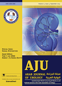 Cover image for Arab Journal of Urology, Volume 11, Issue 3, 2013