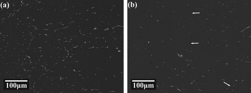 Figure 11. BSE images of the sample at different stages of step solution treatment: (a) 430°C/4 h; (b) 430°C/4 h+450°C/4 h.