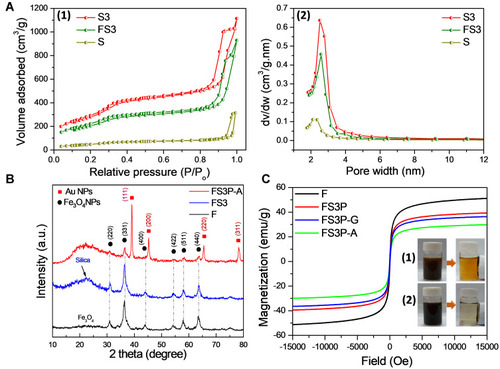 Figure 1 (A) Nitrogen adsorption/desorption isotherms (1) and pore size distribution (2) by the Barrett–Joyner–Halenda (BJH) analysis of S, S3, and FS3. (B) X-Ray Diffraction (XRD) intensity measurements of F, FS3, and FS3P-A. (C) Magnetic hysteresis loops of F, FS3P, FS3P-G, and FS3P-A; photographs of (1) Fe3O4 NPs and (2) FS3P-A NPs before and after separation with an external magnetic field.