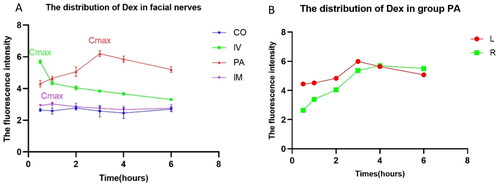 Figure 4. Dynamic curve of Dex distribution in the facial nerve. (A) Cmax: maximum concentration; #: Cmax IV (5.693 ± 0.114) vs. Cmax PA (6.194 ± 0.180) vs. Cmax IM (3.033 ± 0.102), p < .01. (B) Cmax: maximum concentration; #: Cmax L (6.194 ± 0.180) vs. Cmax R (5.700 ± 0.313), p < .05.