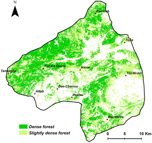 Figure 8. Forest stand density map for 2015. Source: Author.