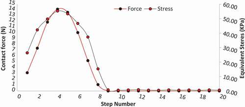 Figure 8. The magnitude of equivalent stress and contact force at different steps after impact (height of 3 m).
