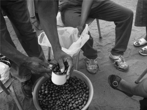 Figure 1. Beans being sold in Sandveld, Namibia