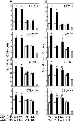 FIG. 8 TCDD-mediated phenotypic changes on donor CD4+ and CD8+ cells display a differential requirement for AhR within each donor T-cell subpopulation. F1 mice were dosed with vehicle (white bars) or TCDD (black bars) one day before the injection of CFSE-labeled donor T-cells that had been purified and recombined as described in the Methods. Naïve B6 mice were injected with the same donor T-cell inoculum as F1 mice (one for each combination) and served as syngeneic controls (SYN, grey bar). The donor T-cells in B6 mice were identified based on CFSE. On Day 2, donor CD4+ cells (A) and donor CD8+ cells (B) were analyzed for the expression of CD25, CD62L, GITR, and CTLA-4. Data shown are representative of 2-3 independent experiments; n = 3-4 mice per group. *p < 0.05, compared to vehicle-control with the same donor T-cell inoculum.