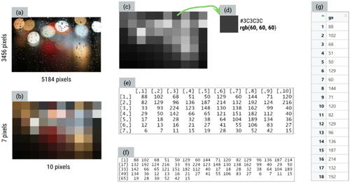Fig. 1 Six different representations of a photograph: (a) color photo; (b) dimensions reduced; (c) converted to grayscale; (d) HEX code and RGB values; (e) matrix; (f) vector; (g) data frame/table.