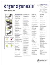 Cover image for Organogenesis, Volume 13, Issue 1, 2017