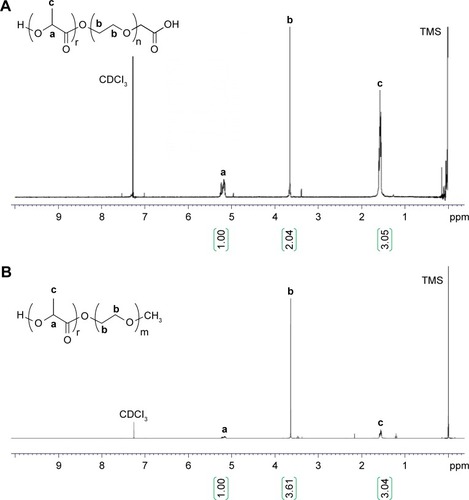 Figure 6 1H nuclear magnetic resonance spectra of PLA-PEG-COOH (A) and PLA-PEG-OCH3 (B). a, b, and c represent the proton positions indicated on the chemical structures.Abbreviations: PEG, poly(ethylene glycol); PLA, poly(lactic acid); TMS, trimethylsilyl.