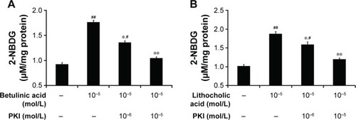 Figure 4 Effect of protein kinase A inhibition on the changes in glucose uptake in CHO-K1 cells.