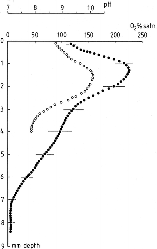 Fig. 6. Oxygen profile in a R. biasolettiana colony. Mean of three replicate runs showing standard errors at 1 mm intervals. Ordinate gives distance from colony surface in mm. For oxygen, only alternate datapoints are shown on this figure; the original resolution was 50 µm. Filled circles: microelectrode % oxygen. Open circles: pH at a resolution of 100 µm. Irradiance 500 µmol m−2 s−1 for both measurements.