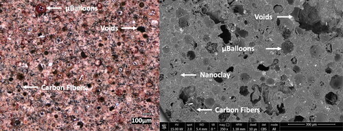 Figure 1. Light microscopy image (left) and SEM image (right) of a printed sample.