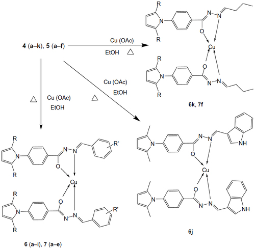 Figure 4 Synthetic route for the synthesis of metal complexes.