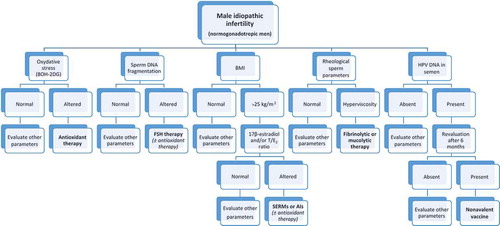 Figure 2. Diagnostic-therapeutic algorithm of the patient with male idiopathic infertility (normal gonadotropins levels and absence of female infertility factor).