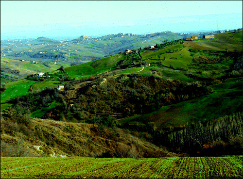 Figure 2. View of part of the study area, showing a mosaic of natural (small woods), seminatural (mainly shrublands), agricultural (cultivated lands), and urban (towns placed mainly on hill tops) ecosystems.