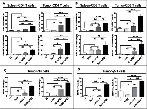 Figure 6. PD-1 blockade synergizes with TA99 therapy to enhance effector T cell functions. Upon tumor appearance, TA99-treated and isotype control (IC)-treated mice received anti-PD-1 antibodies (i.p.) twice per week (TA99+αPD1, n = 9; IC+αPD1, n = 9) or PBS (TA99, n = 7; IC, n = 7). When tumors reached 200–300 mm3,cytokine production was analyzed in spleen and tumor by flow cytometry. (A and B) Percentage of IFNγ (top) and IFNγ plus IL-2 (bottom)-producing CD4 (A) and CD8 (B) T cells isolated from spleens and tumors. (C and D) Percentage of NK (C) and γδ T cells (D) that produce IFNγ (left) and expressing CD107a (right) in tumors; *p < 0.05; **p < 0.01; ***p < 0.001; ****p < 0.0001; ns, not significant (non-parametric Kruskal-Wallis test).