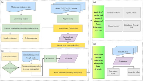 Figure 2. The flow chart to generate forest disturbance recovery mapping and influencing factors analysis, which includes (a) annual forest probability estimation module, (b) forest disturbance and recovery change mapping module, (c) forest spatial and temporal evolution analysis module and (d) analysis of factors influencing changes in forest dynamics module.