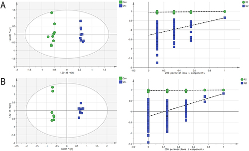 Figure 2 OPLS-DA score plots and permutation tests. (A)Hippocampus (B) Cerebral cortex.
