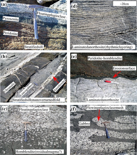 Figure 4. Field photographs of leucogabbros, anorthosites, and differentiated sills in the Sinarssuk area of the Fiskenæsset Anorthosite Complex, West Greenland. (a) modified from Polat et al. (Citation2011); (b) and (d) modified from Polat et al. (Citation2009); (c) and (f) modified from Huang et al. (Citation2012).